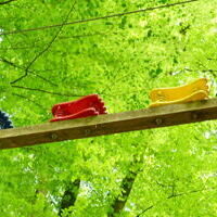 2026 Hintergrund Infos zum Wald