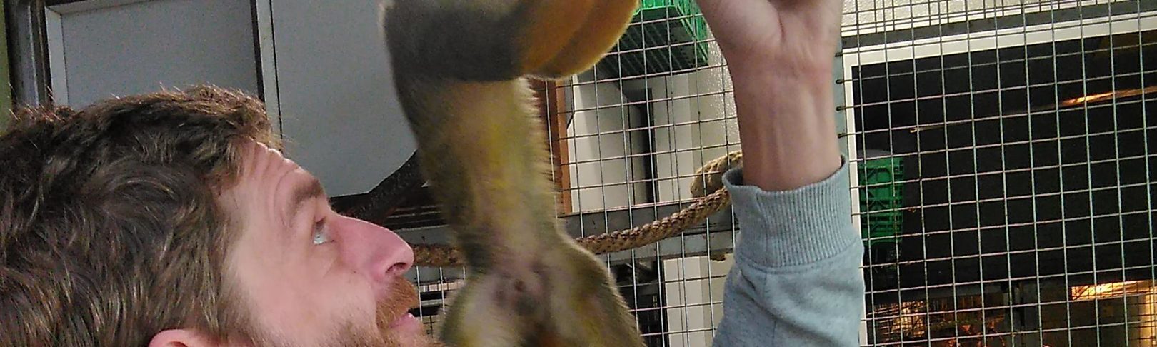 Godfather monkey Walter Zoo