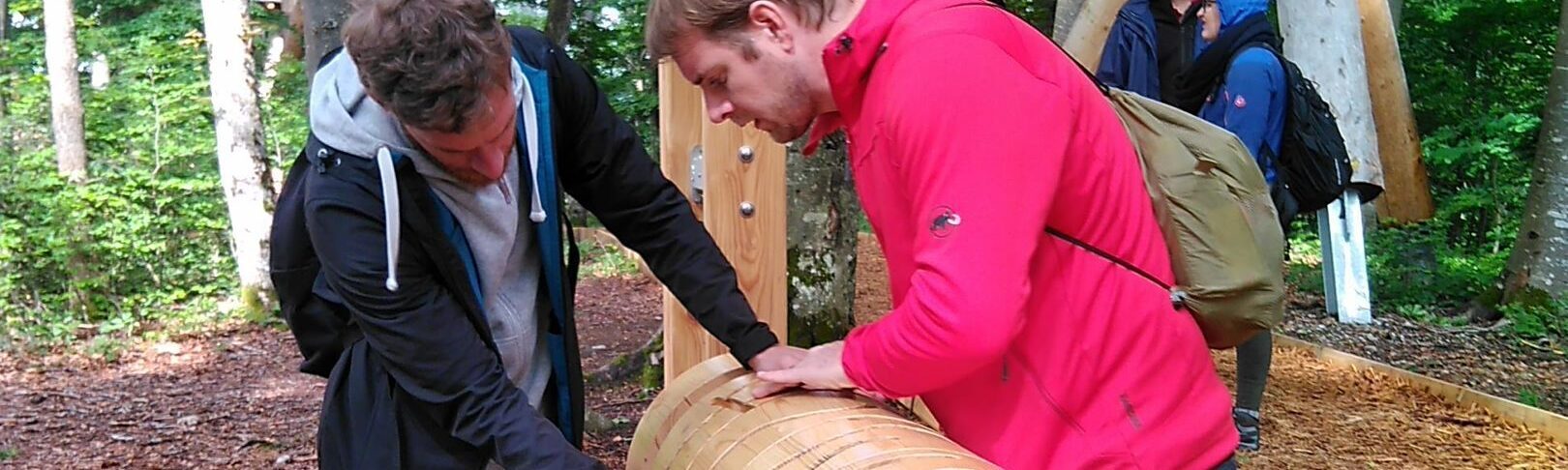 treetop path - godfather Bolen