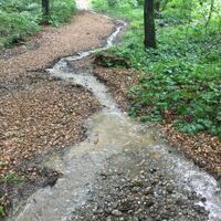 2021.07.13: es gibt kein schlechtes Wetter - nur schlechte Kleidung...