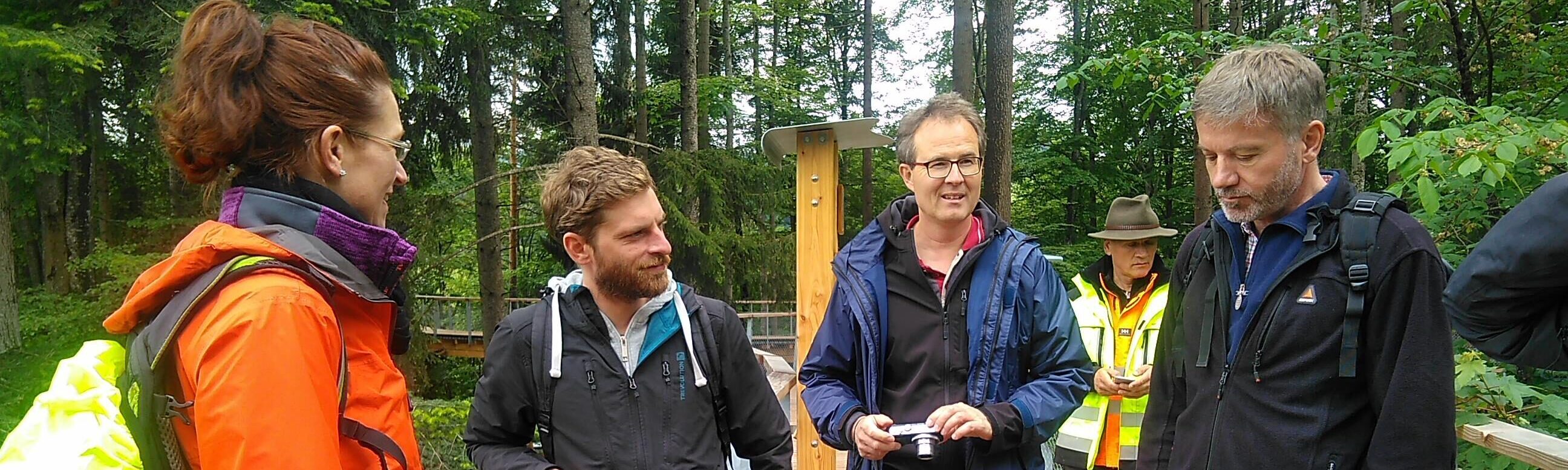 Tree top path - godfather Bolen