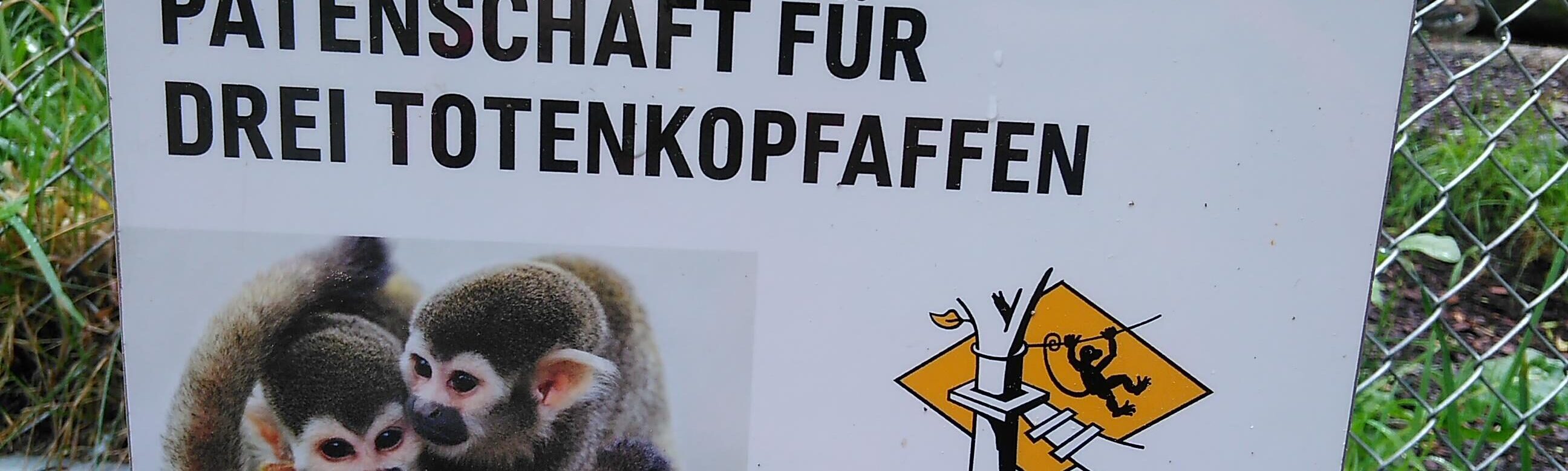 Godfather monkey Walter Zoo