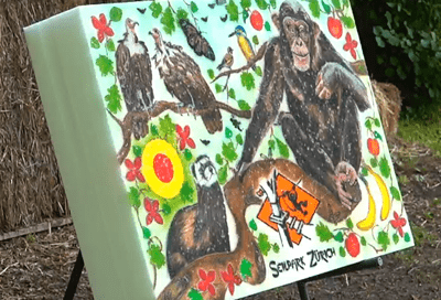 Bild für "TOP Usflug: Seilpark Zürich"