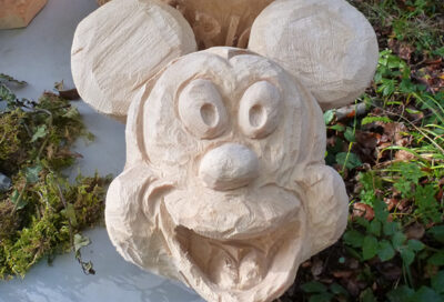 Bild für "Mickey - ab 6 jährig"
