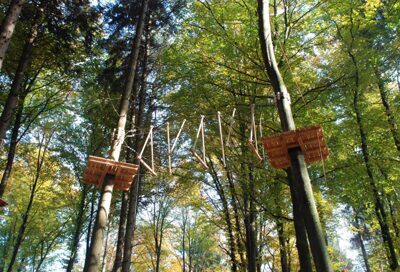 Bild für "Picture gallery"