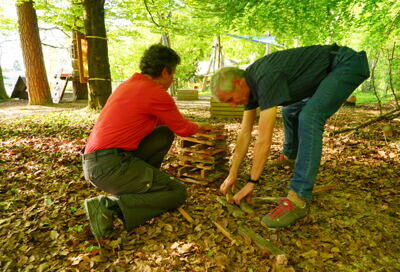 Bild für "Team-Challenge im Wald"