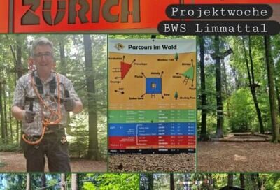 Bild für "Berufswahlschule"