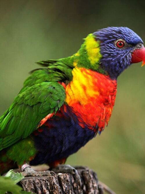 Bild von Zoo Zürich